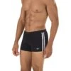 Speedo Shoreline Square Leg -Swimming Gear Shop 7300164001