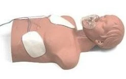 Simulaids Sani Adult Manikin