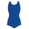 Dolfin Conservative Lap Suit 1 Dolfin Conservative Lap Suit -Swimming Gear Shop dolfin conservative lap suit royal 3
